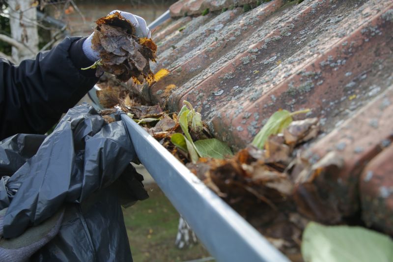 Gutter Clearing in Spring